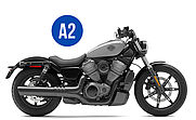 NIGHTSTER 975 - A2 - Moto solo